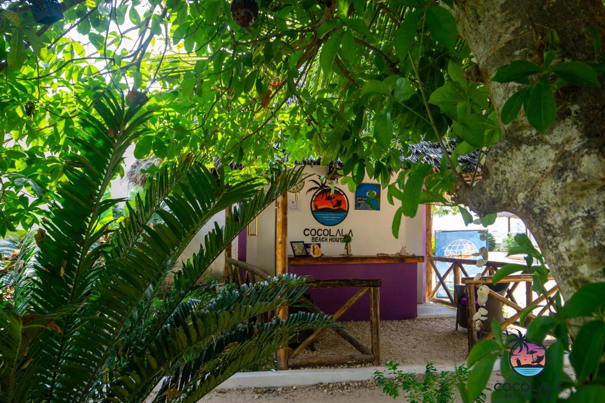 Cocolala Beach House Нунгви Экстерьер фото